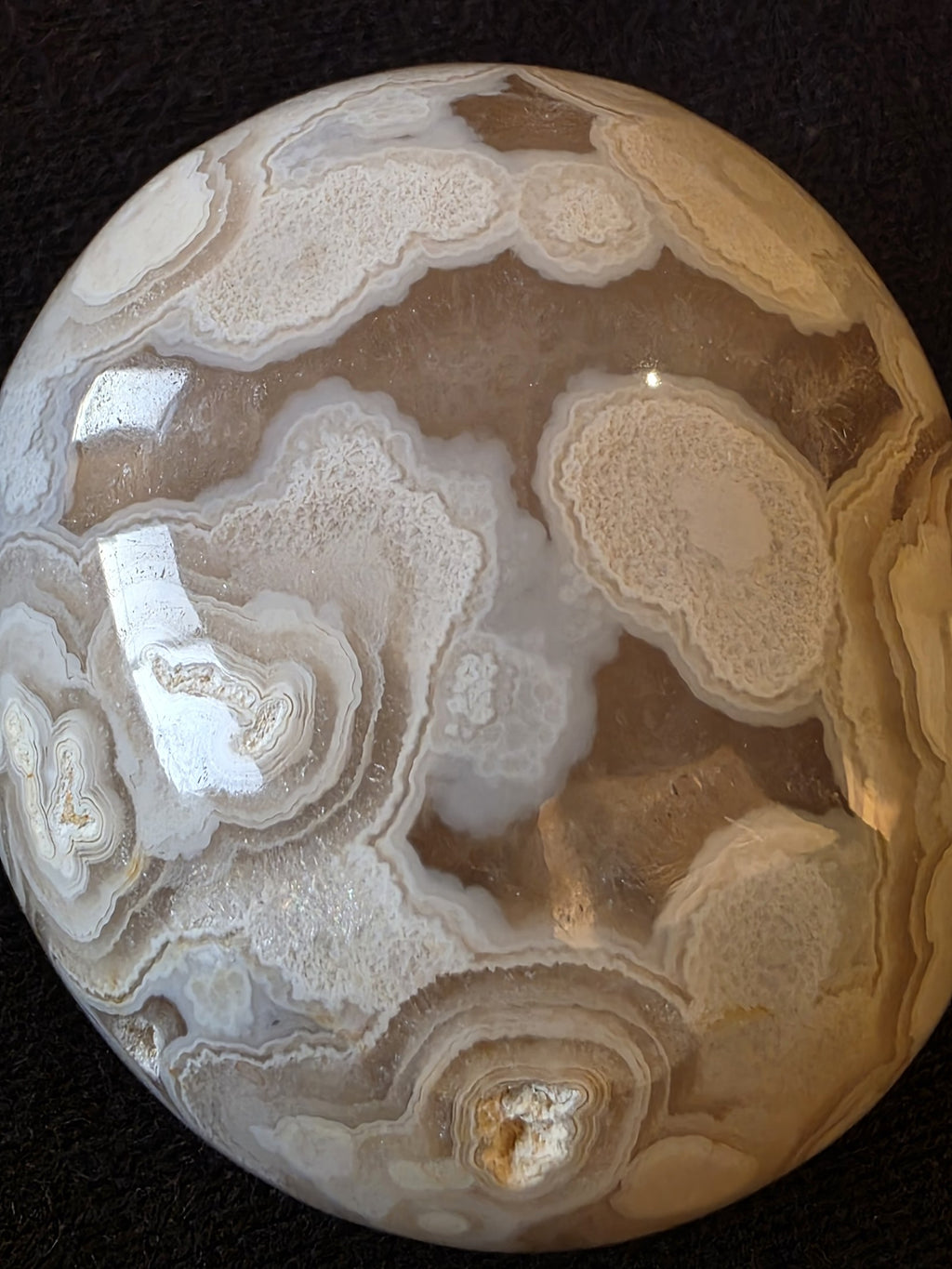 Lebanese flower agate palm stone from Minieh shore, showing cream lace chalcedony blossoms in a translucent amber matrix on dark felt background.

