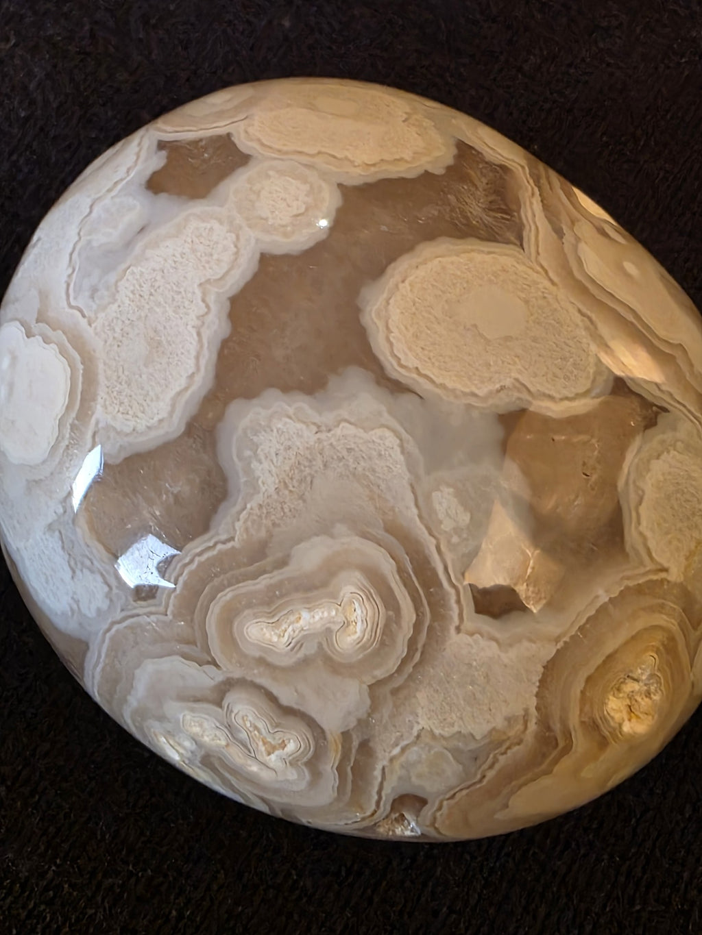 Macro detail of lace chalcedony crystalline texture in Lebanese palm stone №002, showing concentric white bands around amber chalcedony centers.
