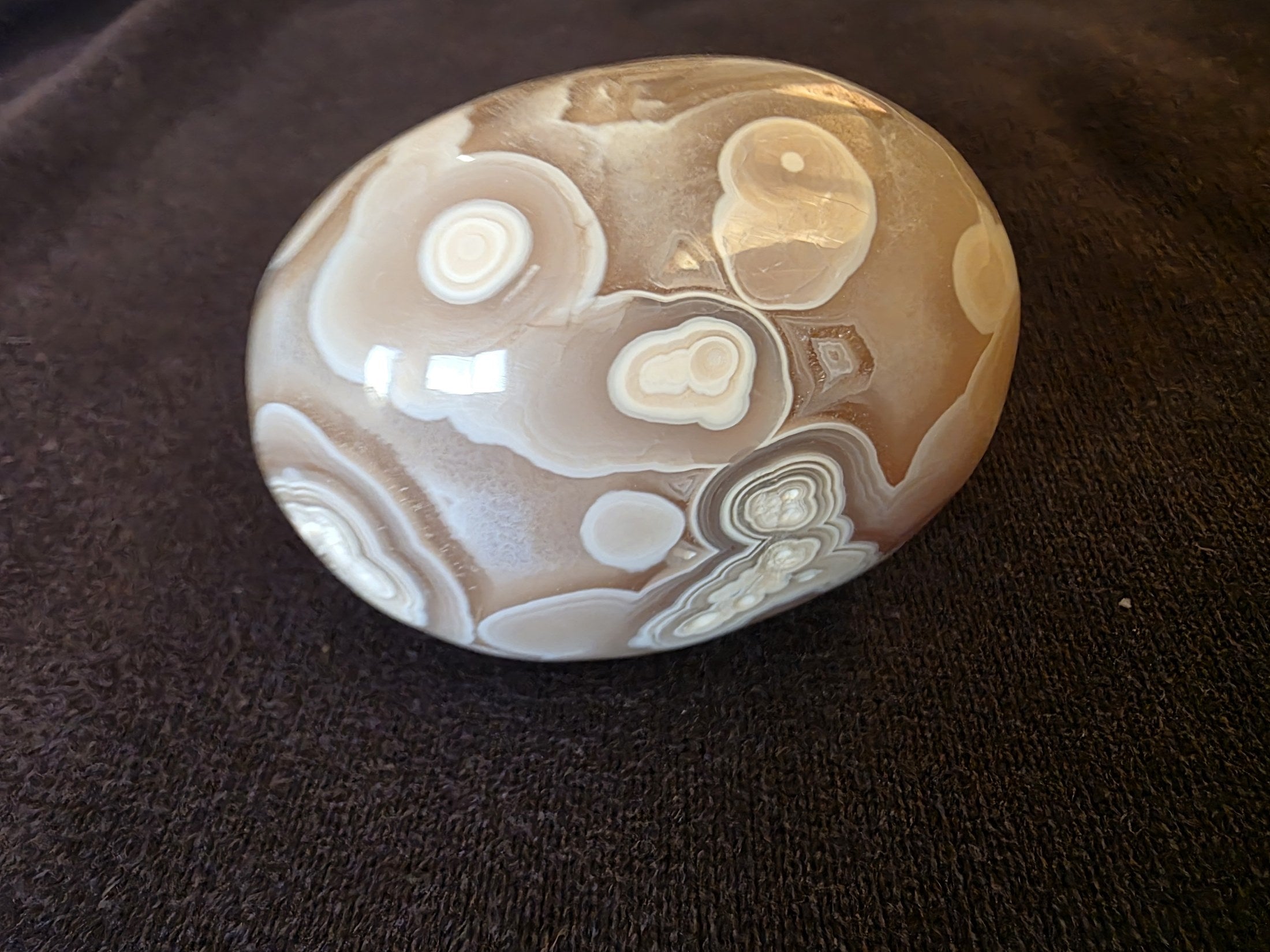 Close-up of nine distinct orbicule eye formations inside Lebanese flower agate specimen №003, showing concentric cream and white banding patterns.
