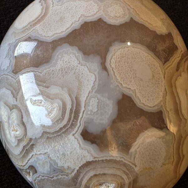 Lebanese Lace Chalcedony Palm Stone, Floral Agate Specimen №002