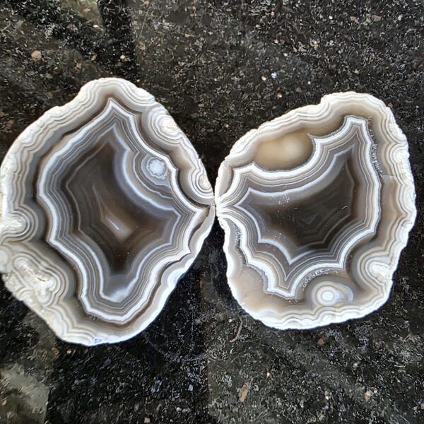 Lebanese banded agate pair with grey and white fortification banding, polished halves